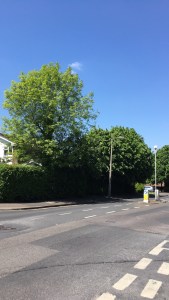 20180520_224022617_iOS